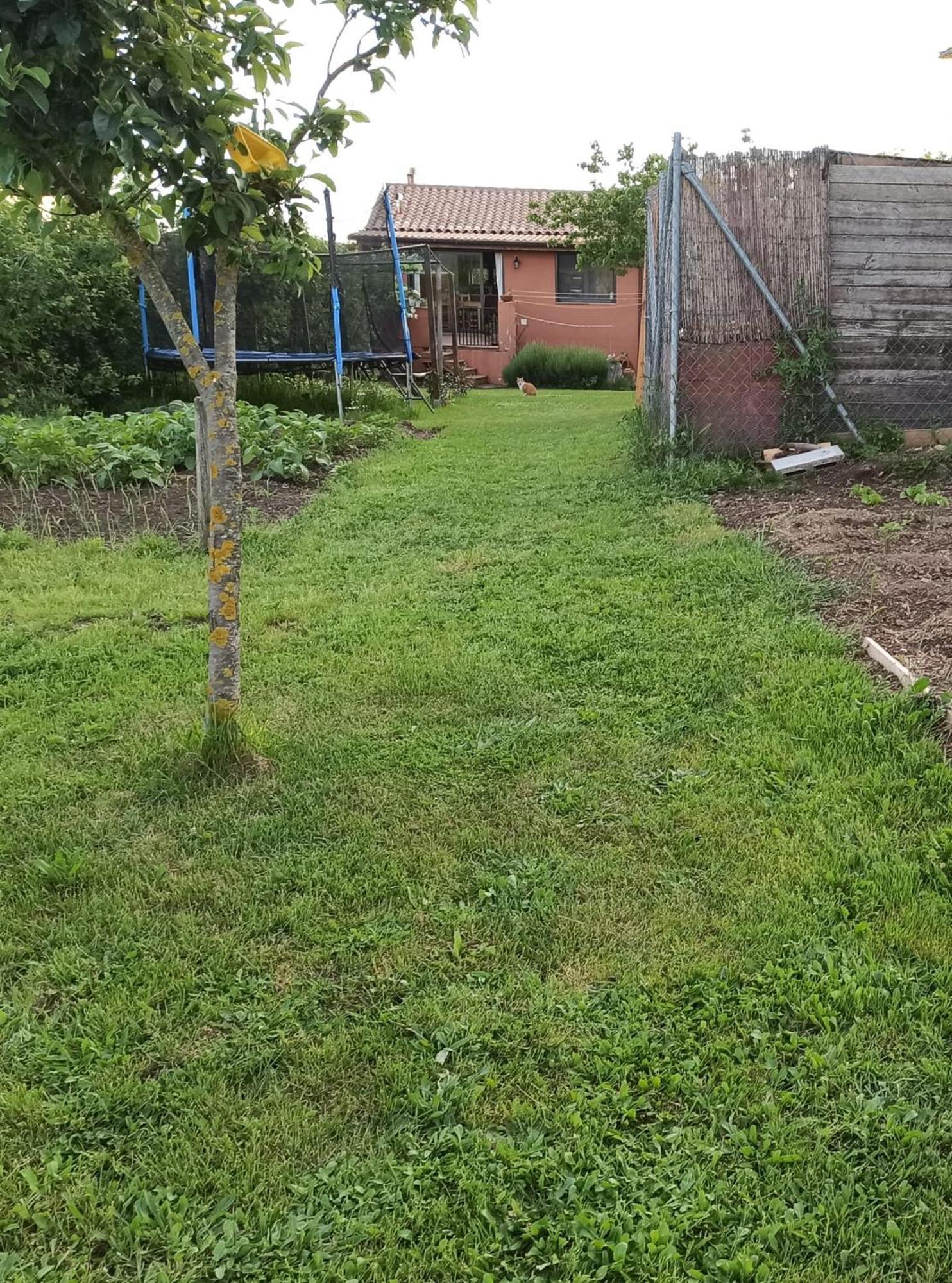 Alojamiento Compartido Cantroncxic San Pedro de Torelló Buitenkant foto